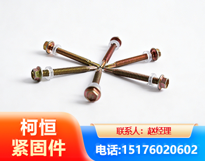 百色六角钻尾丝